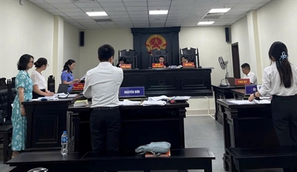 Phòng 10 – Viện KSND thành phố Hà Nội phối hợp tổ chức phiên tòa rút...